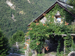 Rustico-Steinhaus im Tessin