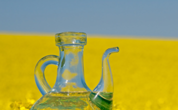 Gesunde Ernährung: Rapsöl ist nicht gleich Rapsöl Rapsöl ist gesund