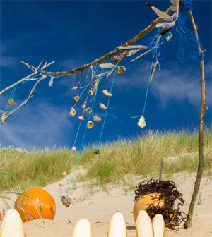 Strandgut aus der Nordsee
