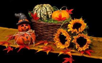 Kürbis – ein kalorienarmer Sattmacher der schmeckt Kürbis eignet sich für Deko zum Halloween