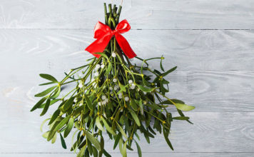 Die Mistel über der Tür - zwischen Himmel und Erde