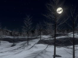 Die Rauhnächte, auch Raunächte oder Rauchnächte genannt, beginnen in den meisten Gegenden nach der Heiligen Nacht, also in der Nacht vom 25. auf den 26. Dezember. Sie dauern zwölf Nächte bis zum Fest der Erscheinung des Herrn (Heiligdreikönig), dem 06. Januar.