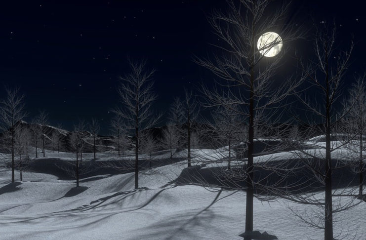 Die Rauhnächte, auch Raunächte oder Rauchnächte genannt, beginnen in den meisten Gegenden nach der Heiligen Nacht, also in der Nacht vom 25. auf den 26. Dezember. Sie dauern zwölf Nächte bis zum Fest der Erscheinung des Herrn (Heiligdreikönig), dem 06. Januar.