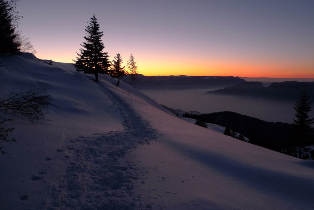 Die Mistel über der Tür – zwischen Himmel und Erde