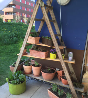 Pfalnzenregal aus Holzleiter