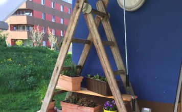 Wie aus einer alten Holzleiter ein originelles Pflanzenregal wird Pfalnzenregal aus Holzleiter
