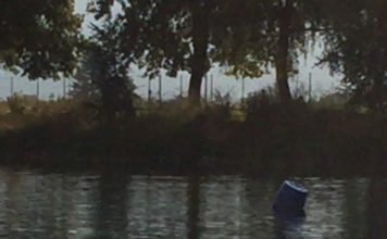 Warum regelmässige Bewegung so wichtig beim Abnehmen ist Bewegung hilft beim Abnehmen