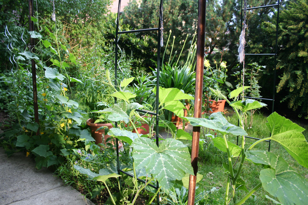 Vertikale Gärten - die moderne Form von Urban Gardening.