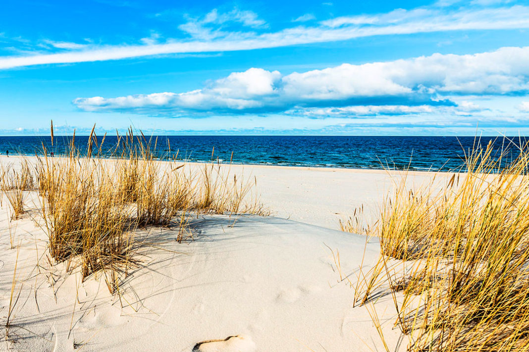 Abenteuer Darß – Urlaub im Einklang mit der Natur | myPfadFinder