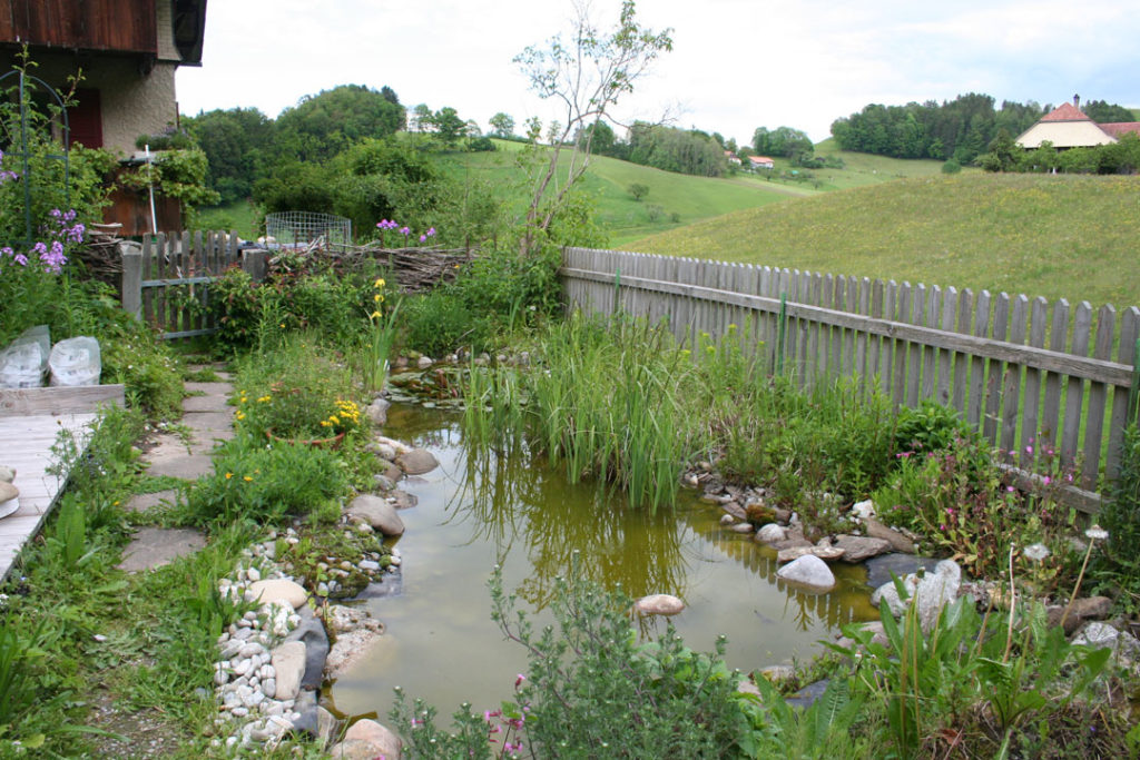 Gartenteich anlegen: Tipps zu Planung, Bau und Bepflanzung | myPfadFinder