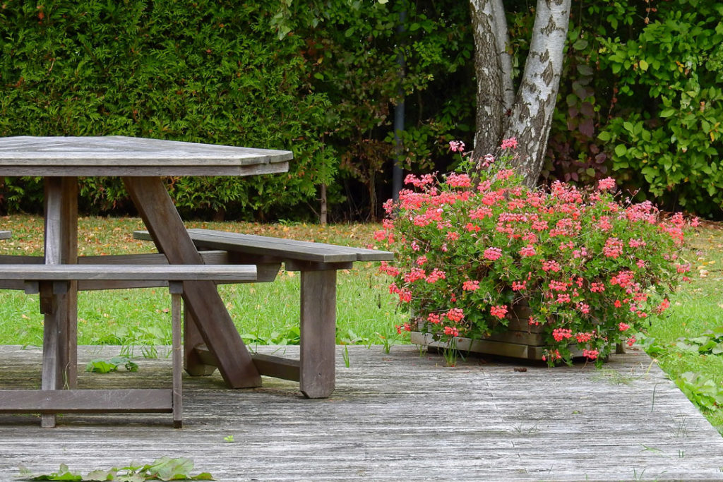 Gartenteich anlegen Tipps zu Planung, Bau und Bepflanzung myPfadFinder