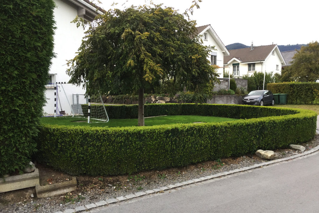 Auf was Sie beim Herbstschnitt im Garten achten sollten myPfadFinder