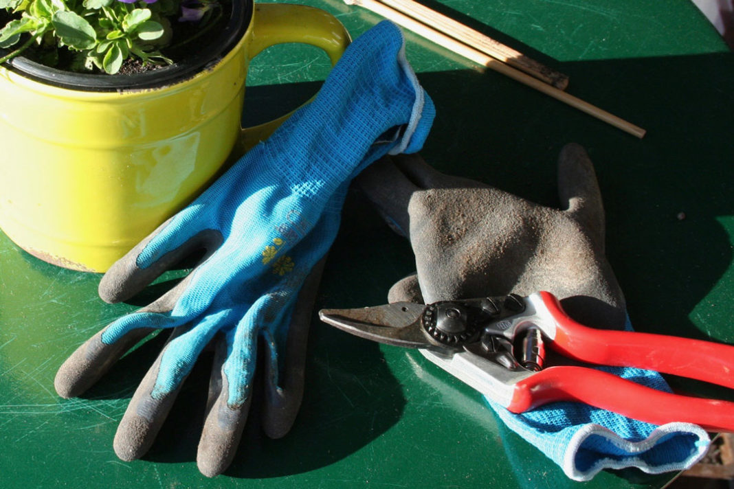 Auf was Sie beim Herbstschnitt im Garten achten sollten myPfadFinder