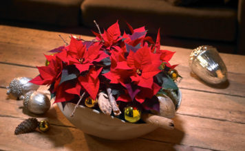 Auch als festliche Tischdekoration eignet sich der Weihnachtsstern im klassischen Rot perfekt.
