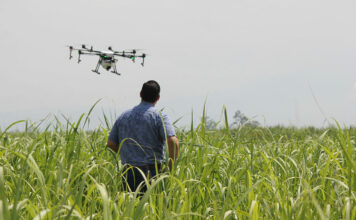Landwirte sind Vorreiter der Digitalisierung in Deutschland