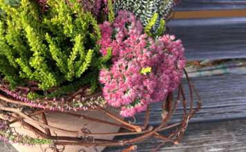 Herbstliches Blumenarrangement mit Besenheide