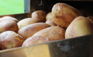 Mit der Kartoffelknolle schlank ins neue Jahr Die Kartoffelknolle wird im Ofen zu Baked Potato voerbereitet