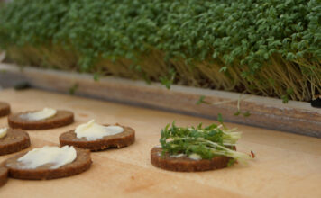 Schwarzbrot mit Kressen als natürliche Mienarstoffe