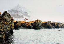 Blick auf Islands Küste die als Buchcover für Kalmann von Joachim B. Schmidt dient