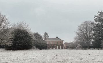 Buchtipp: Nell Leyshon „Die Farbe von Milch“